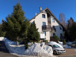 Apartment 547-3 by Interhome, Harrachov